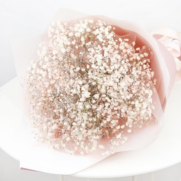 Гипсофила цветная - 11, Современная упаковка, Лента