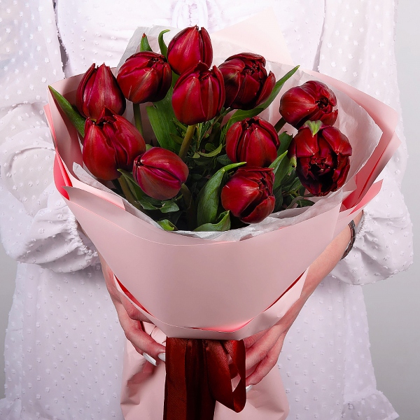 Тюльпан красный - 19, Фисташка, Современная упаковка